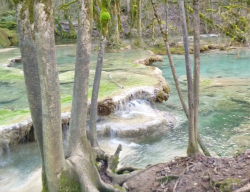 Franche-comté – De Cascade en Cascade